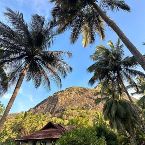 South India Ayurvedic Detox Retreat Tour