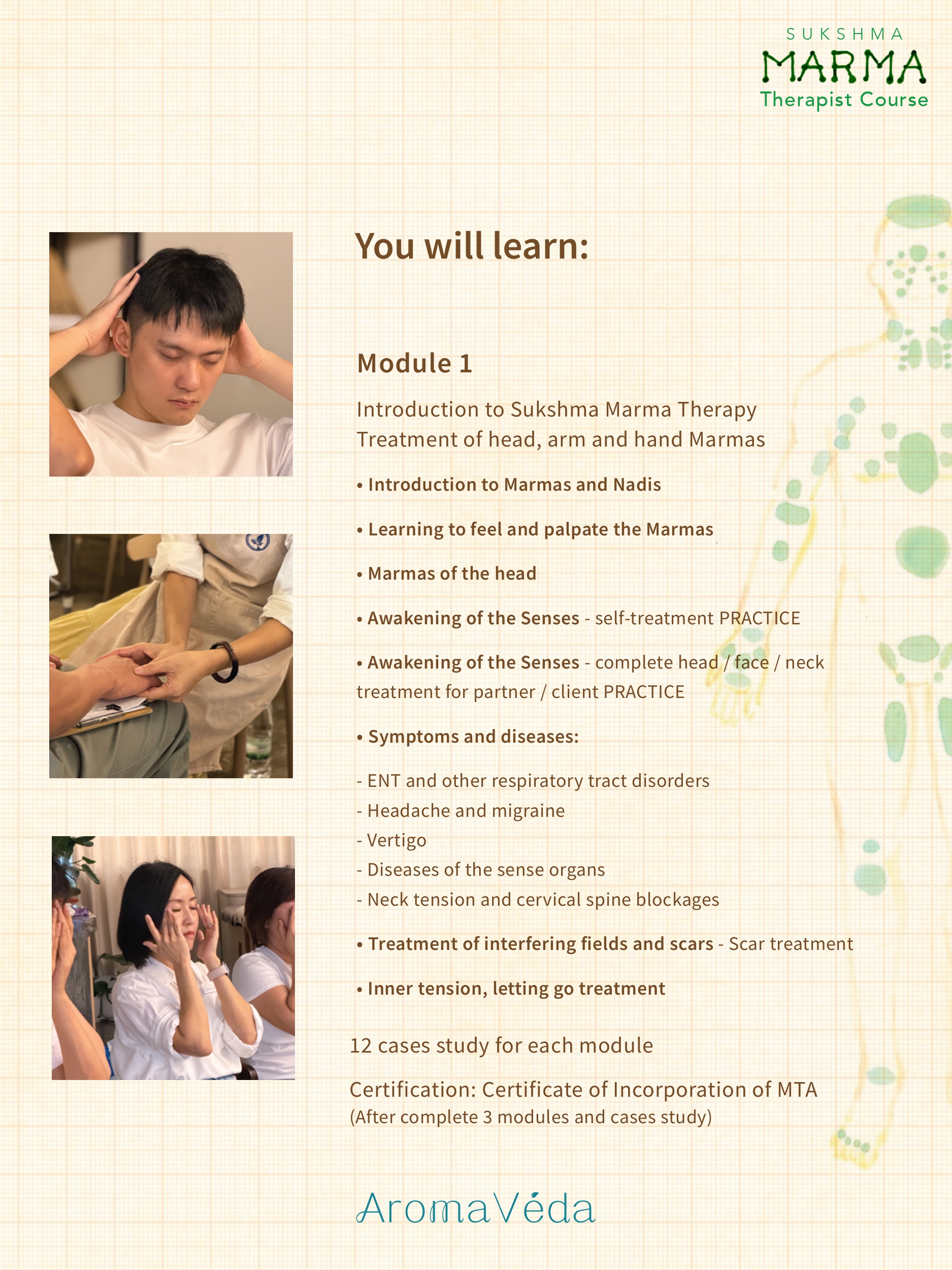 Sukshma Marma Therapist Course (Batch 2 Intake) - Image 4