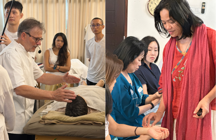 Marma Therapy<br />
Ayurveda Course